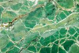 Polished Green-White Opal Section - Western Australia #353732-1